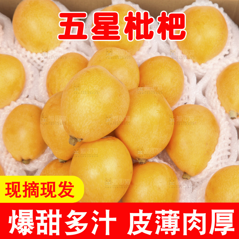 堆放着的新鲜枇杷