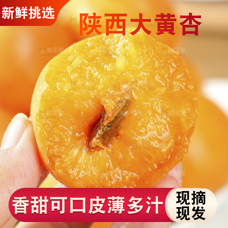 手里拿着大黄杏