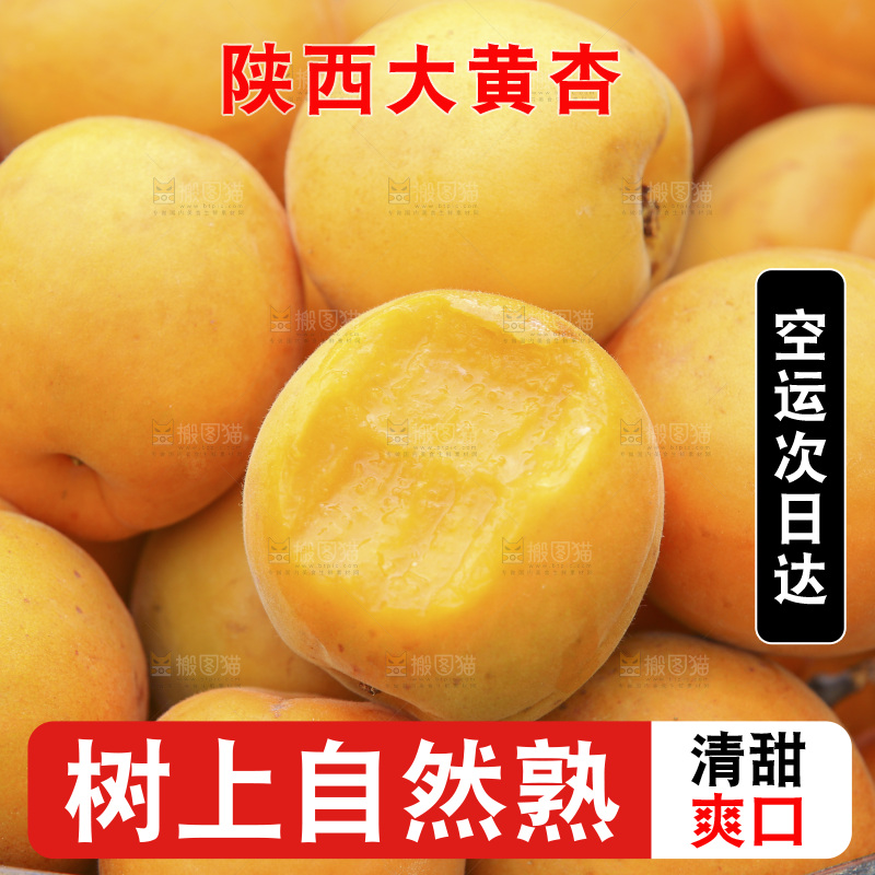 堆放着的大黄杏