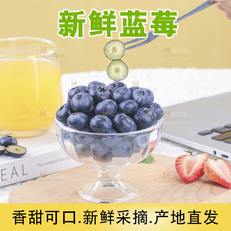 浅底上的怡颗梅