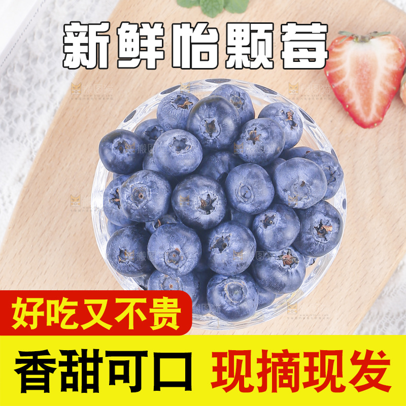 浅底上的怡颗梅