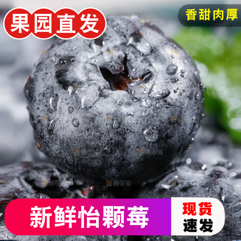 堆放着的新鲜蓝莓