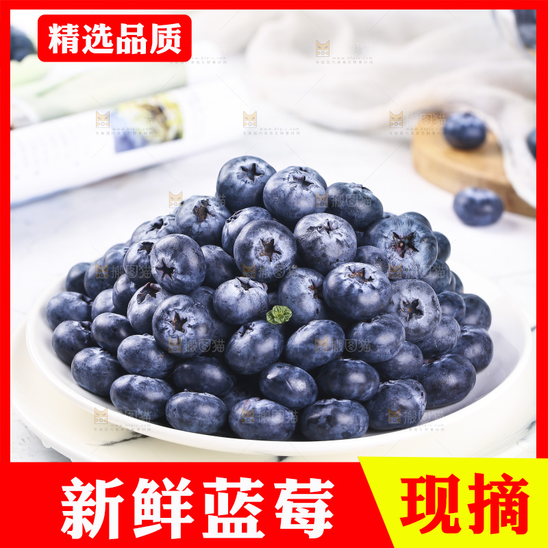 浅底上的怡颗梅