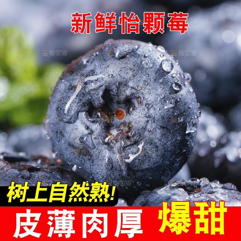 堆放着的新鲜蓝莓
