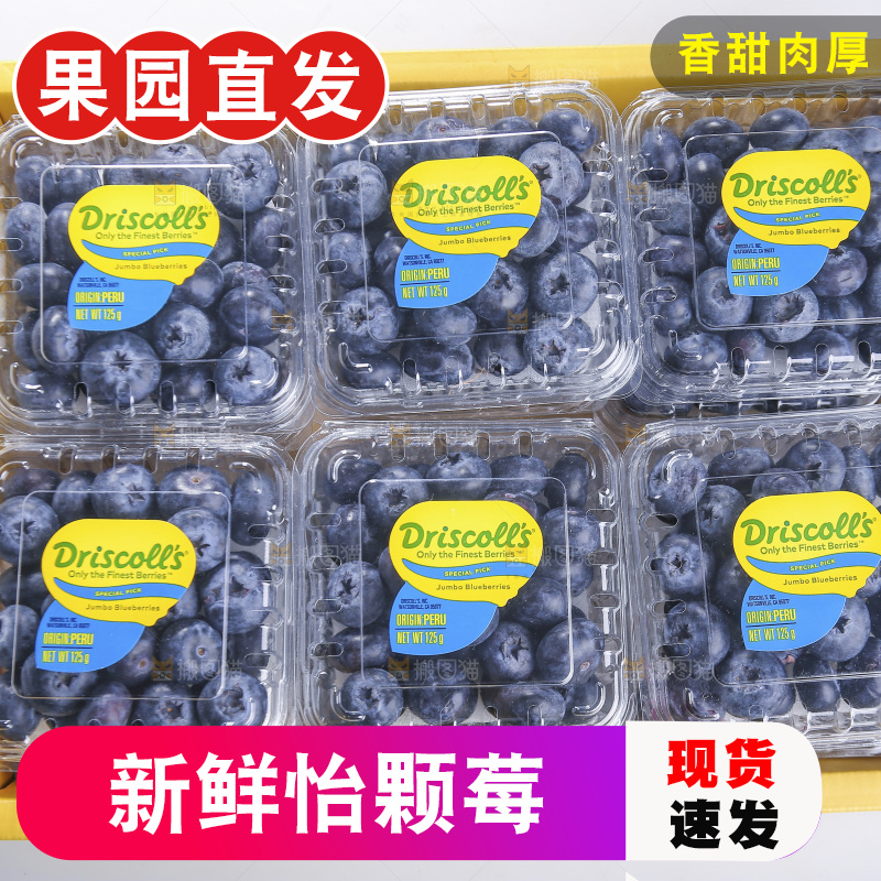 盒子里装着蓝莓