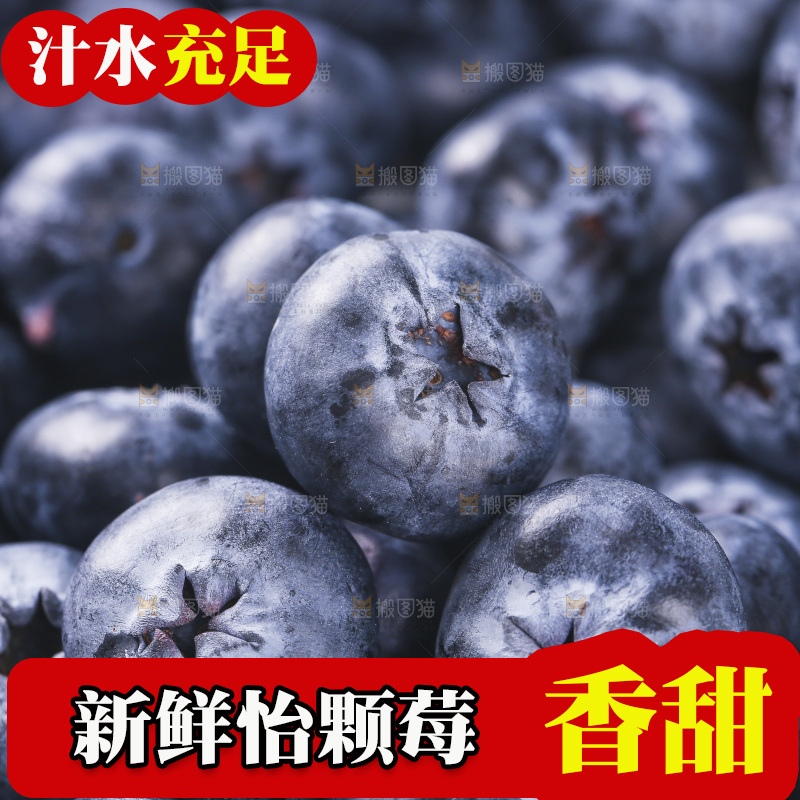 浅底上的怡颗梅