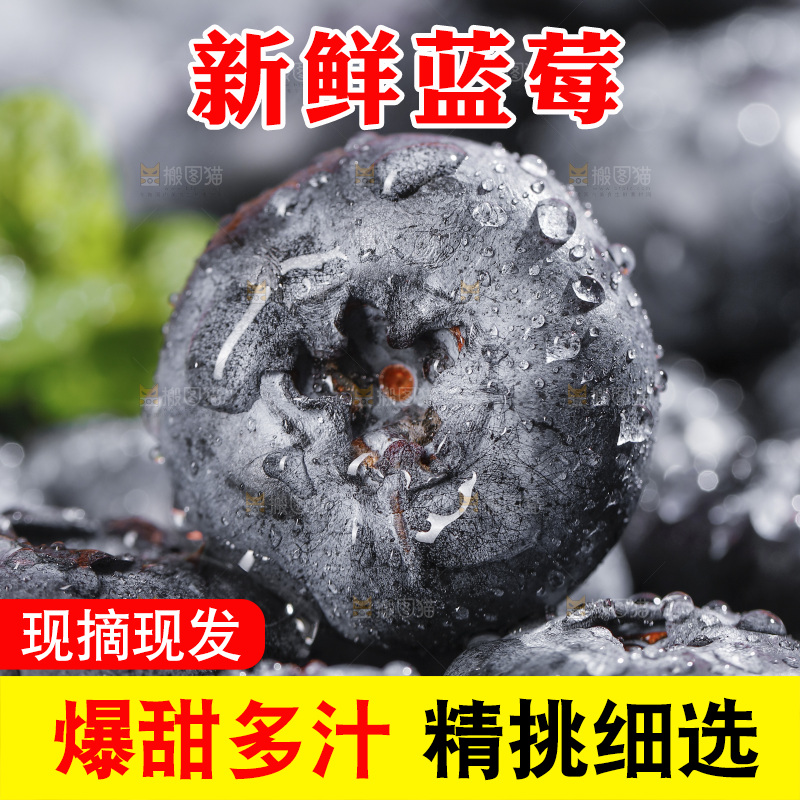 堆放着的新鲜蓝莓