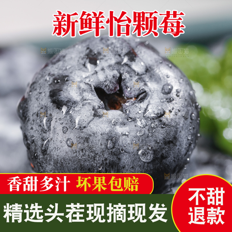 堆放着的新鲜蓝莓