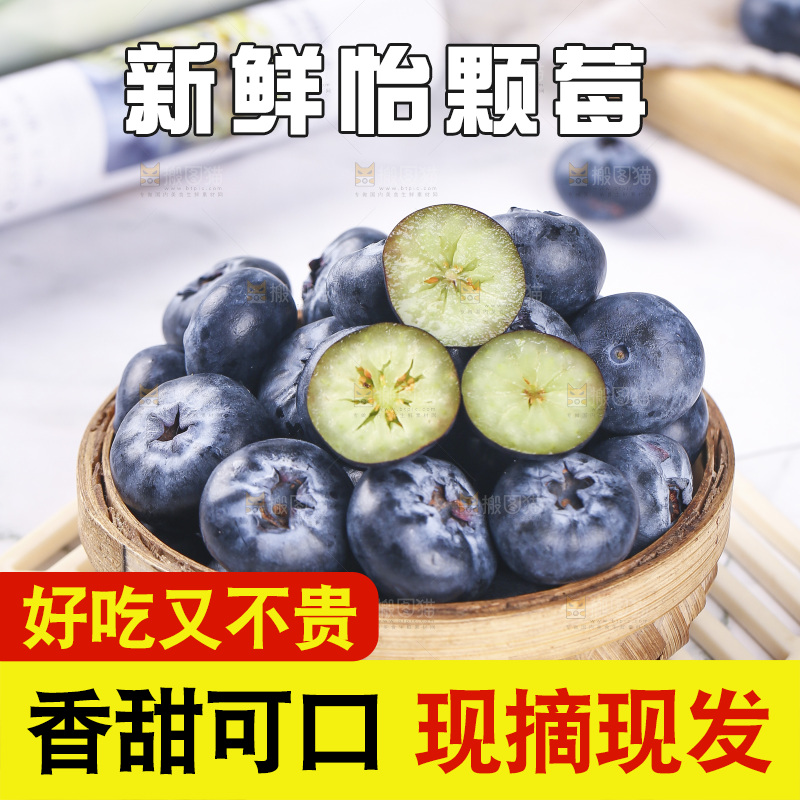 浅底上的怡颗梅