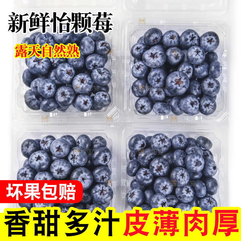 盒子里装着蓝莓
