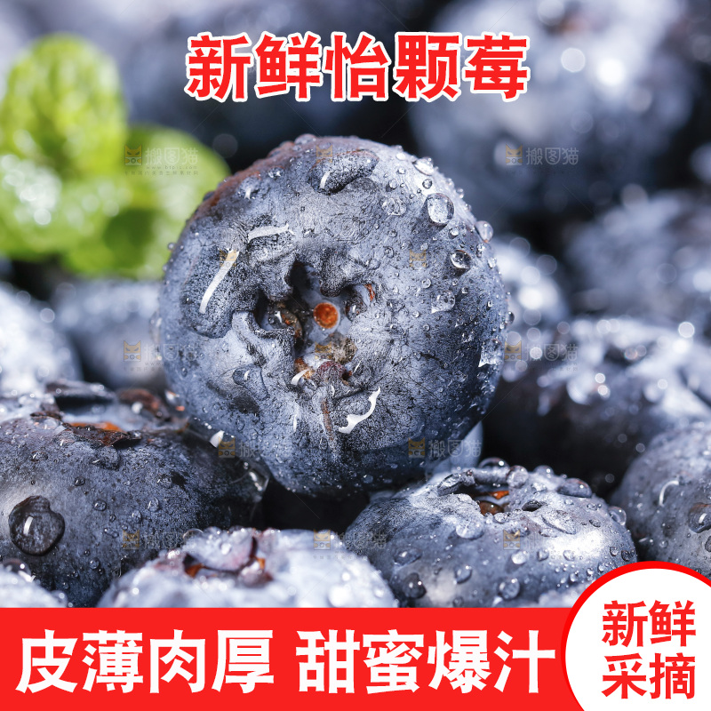 堆放着的新鲜蓝莓