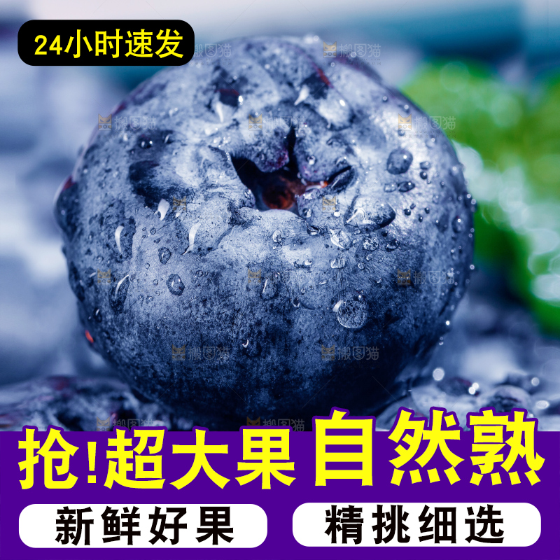 堆放着的新鲜蓝莓