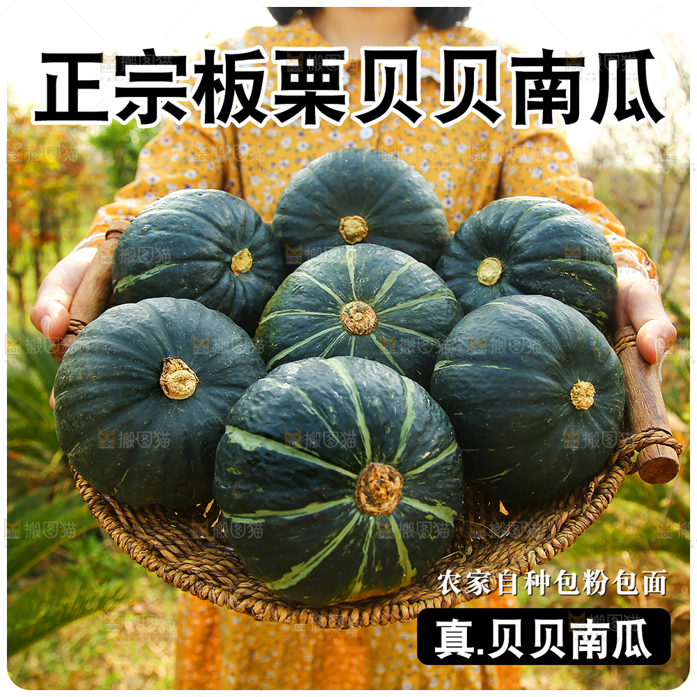 木底上的贝贝南瓜