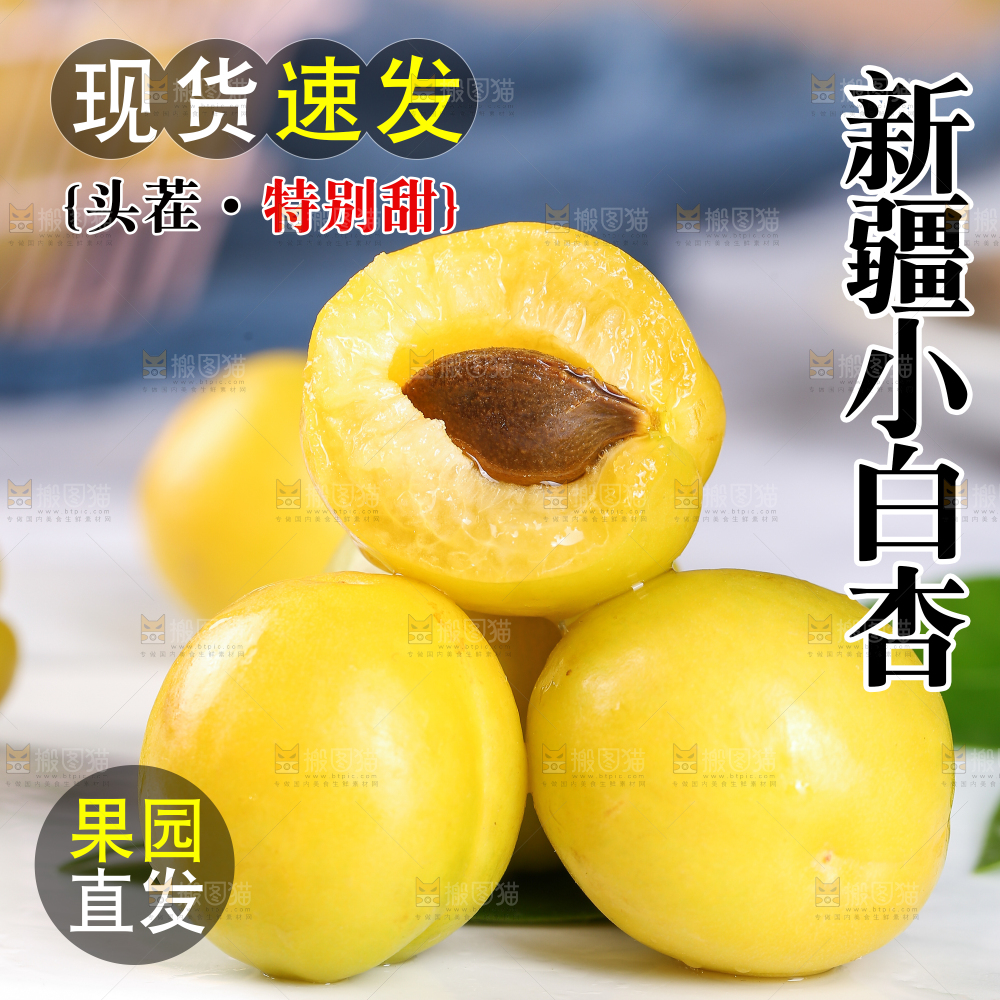 新疆小白杏主图