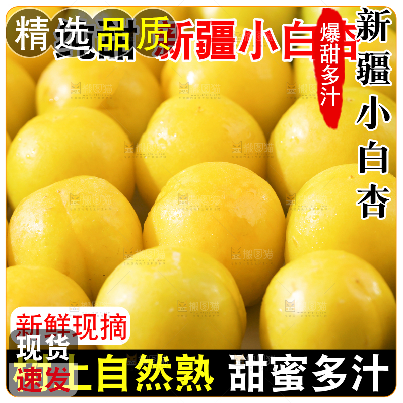 新疆小白杏主图