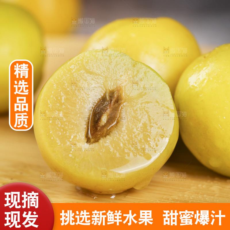 新疆小白杏主图