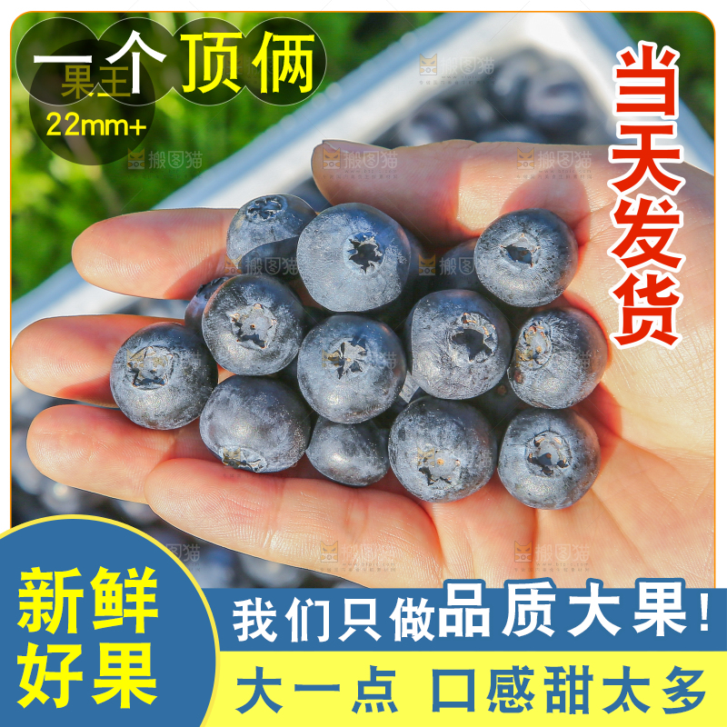 怡颗莓主图