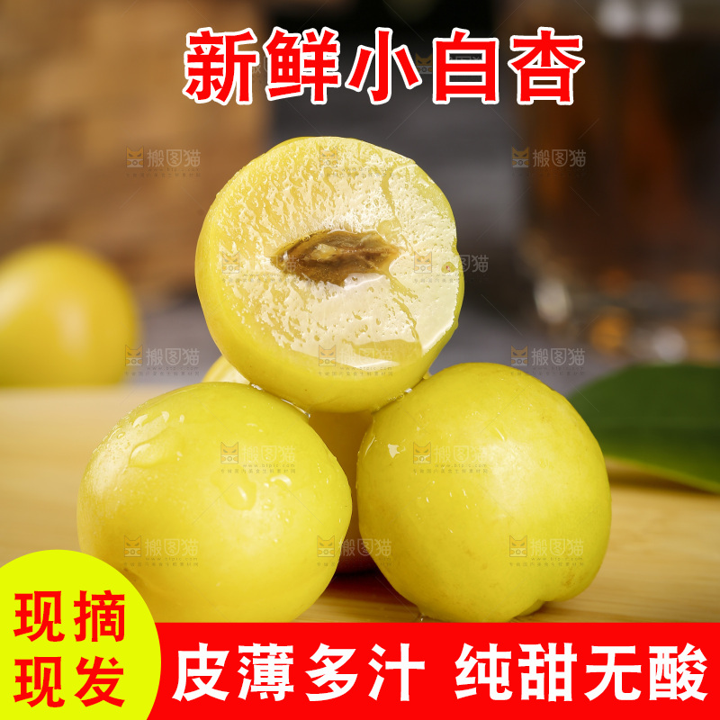 小白杏主图