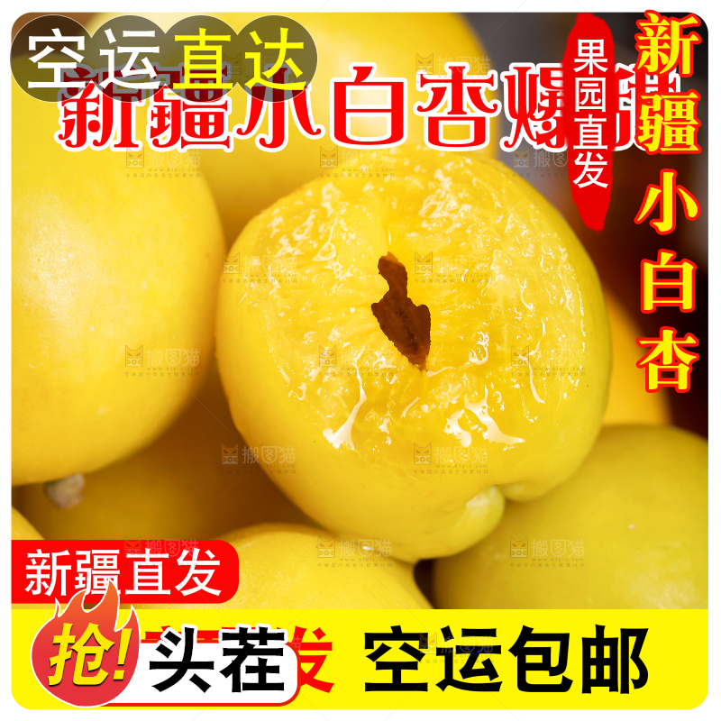 新疆小白杏主图