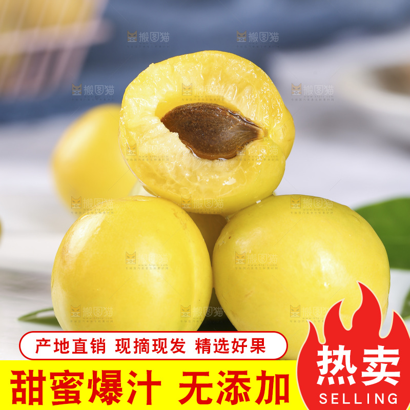 新疆小白杏主图