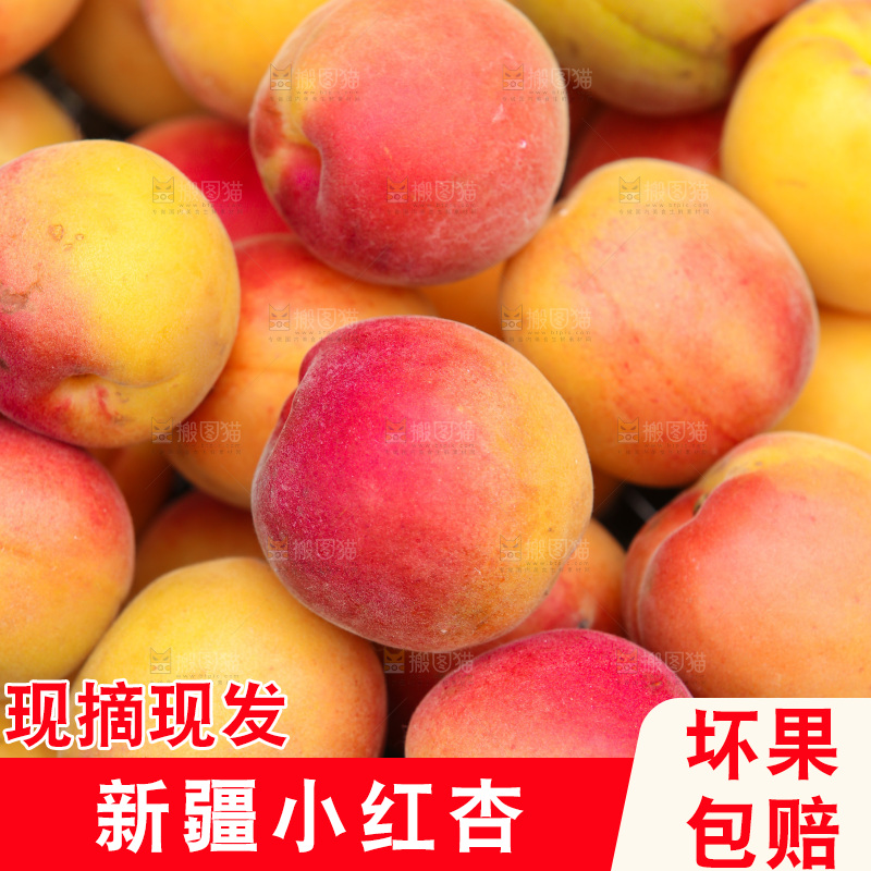 堆放着的新疆小红杏