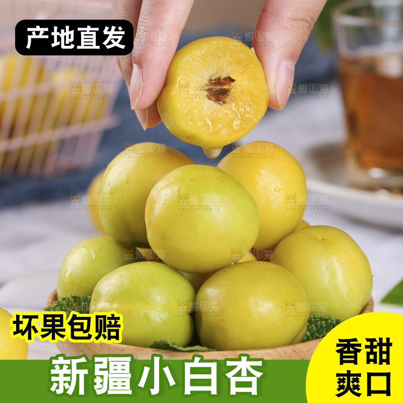 新疆小白杏主图