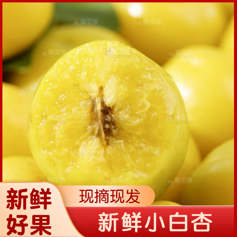 新疆小白杏主图