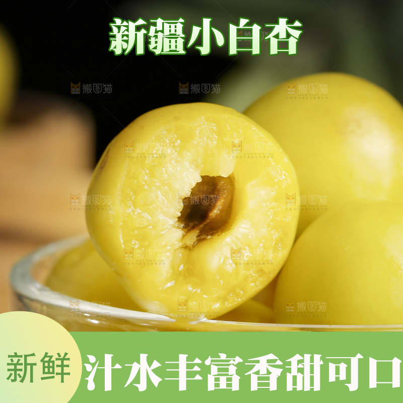 新疆小白杏主图
