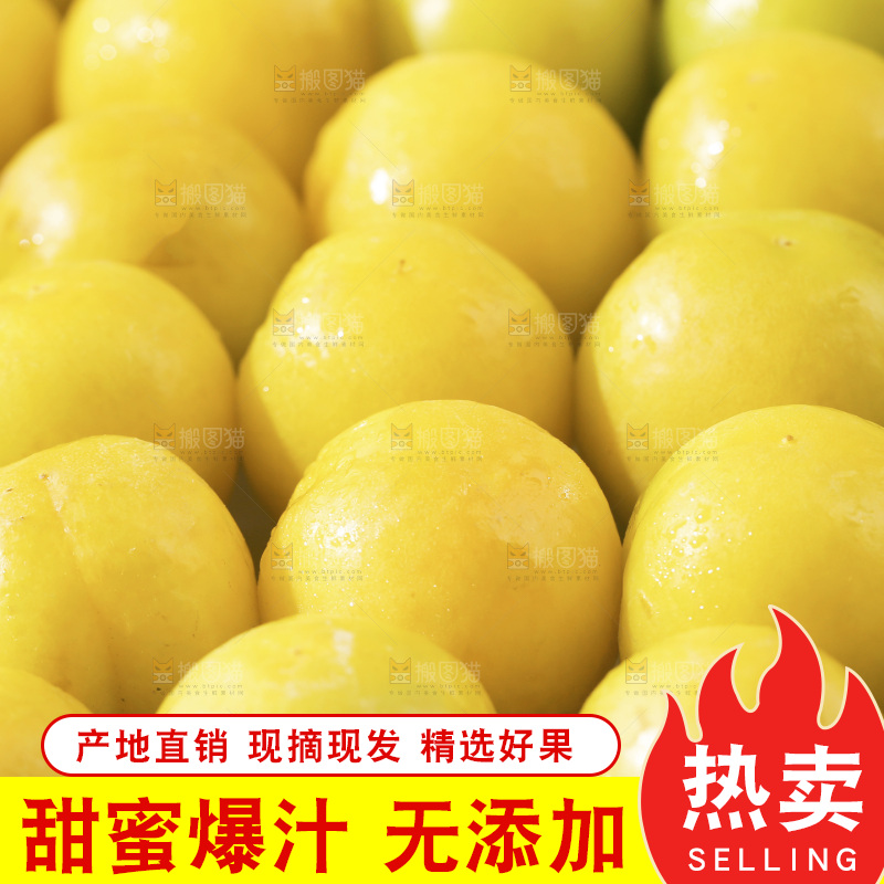 新疆小白杏主图