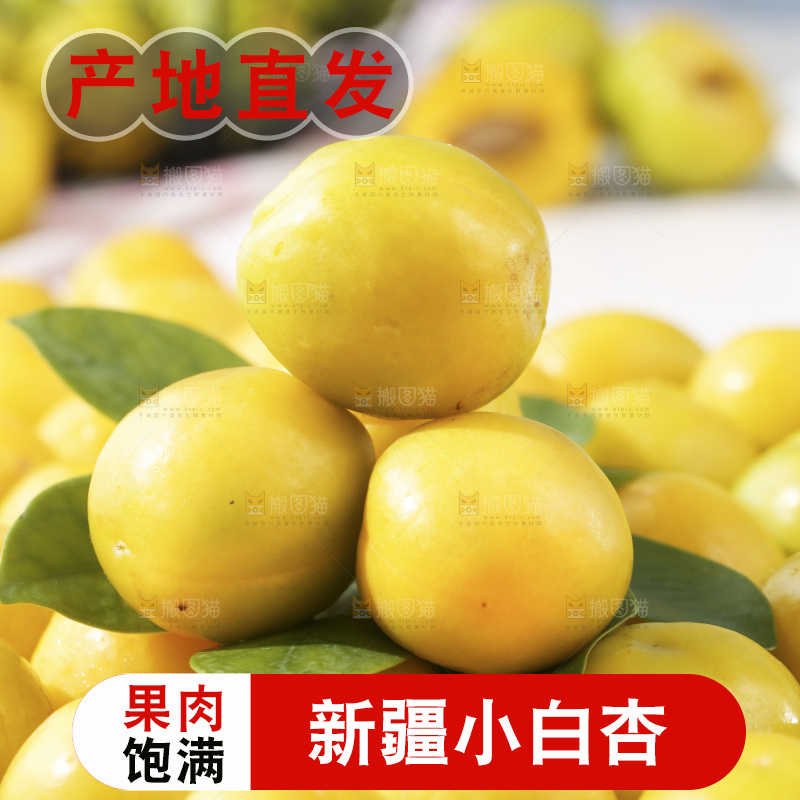 新疆小白杏主图