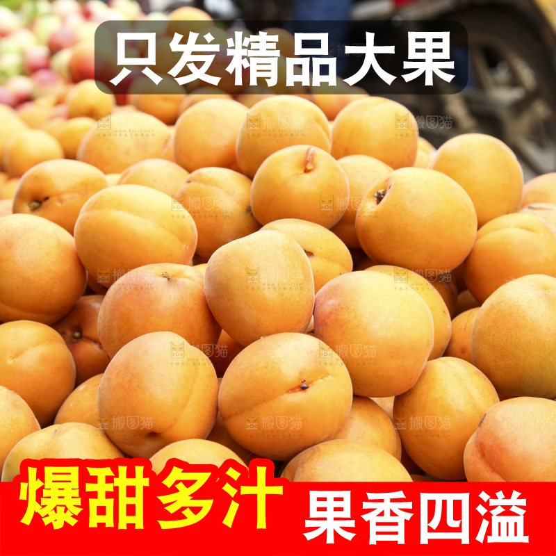 堆放着的大黄杏