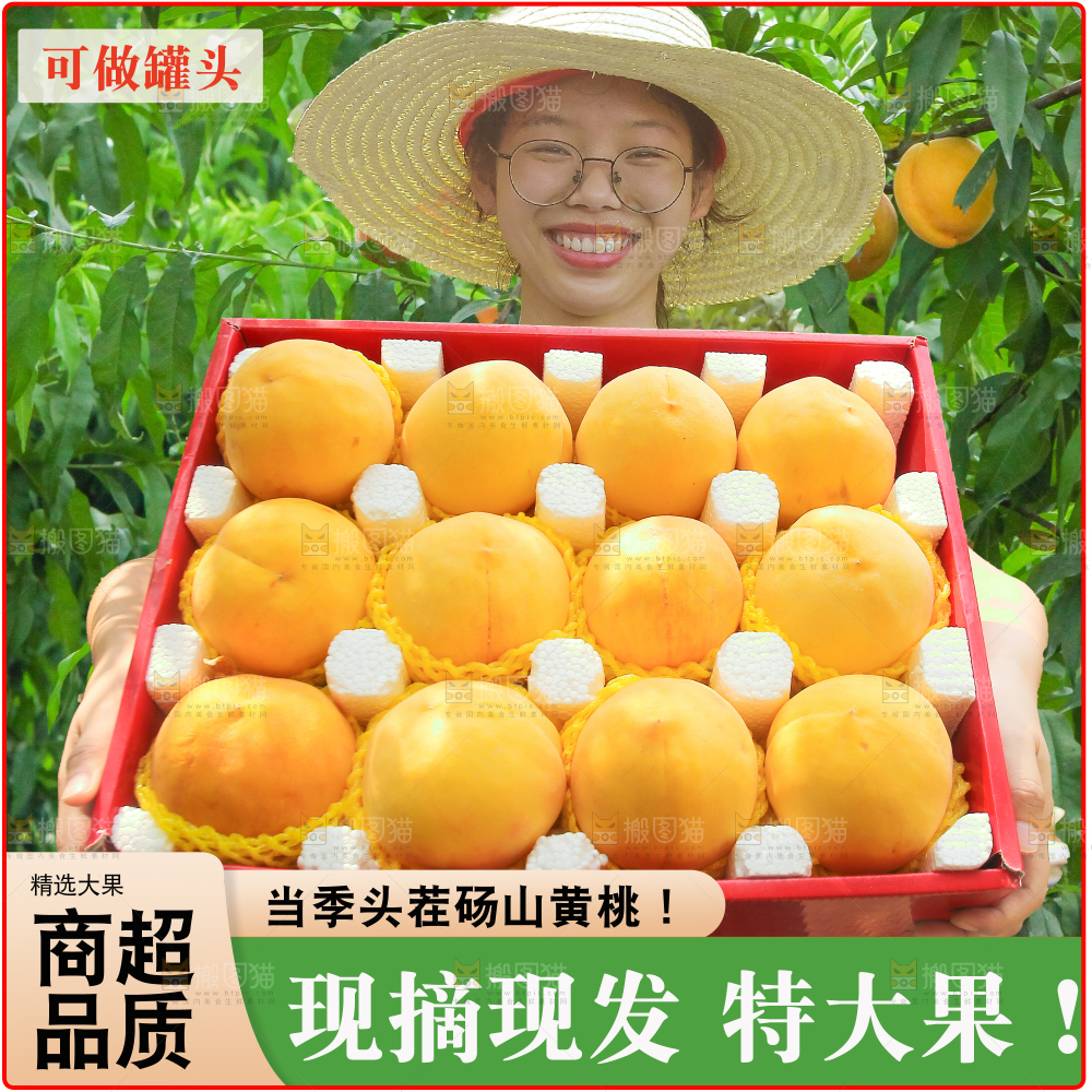 砀山黄桃主图