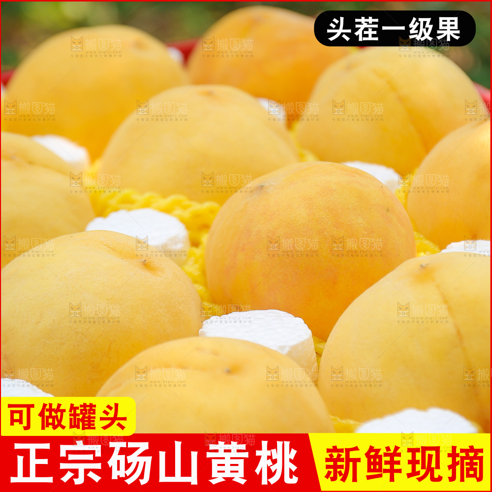 砀山黄桃主图