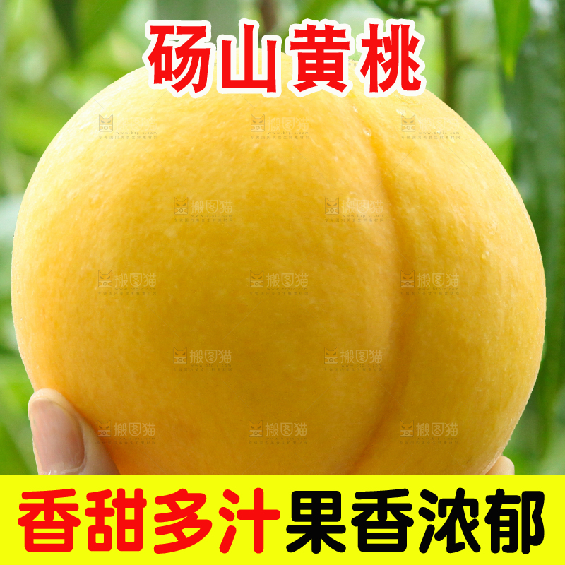 手里拿着黄毛桃