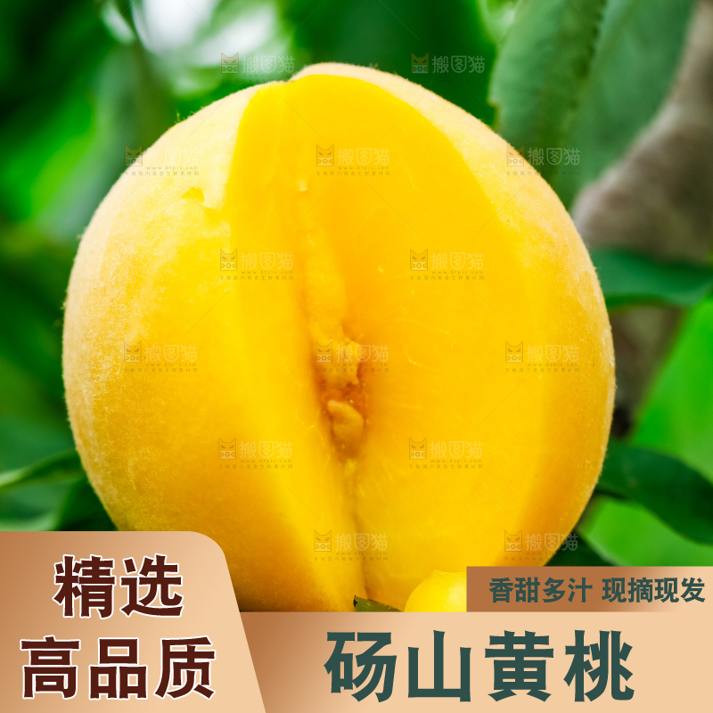 手里拿着砀山黄桃