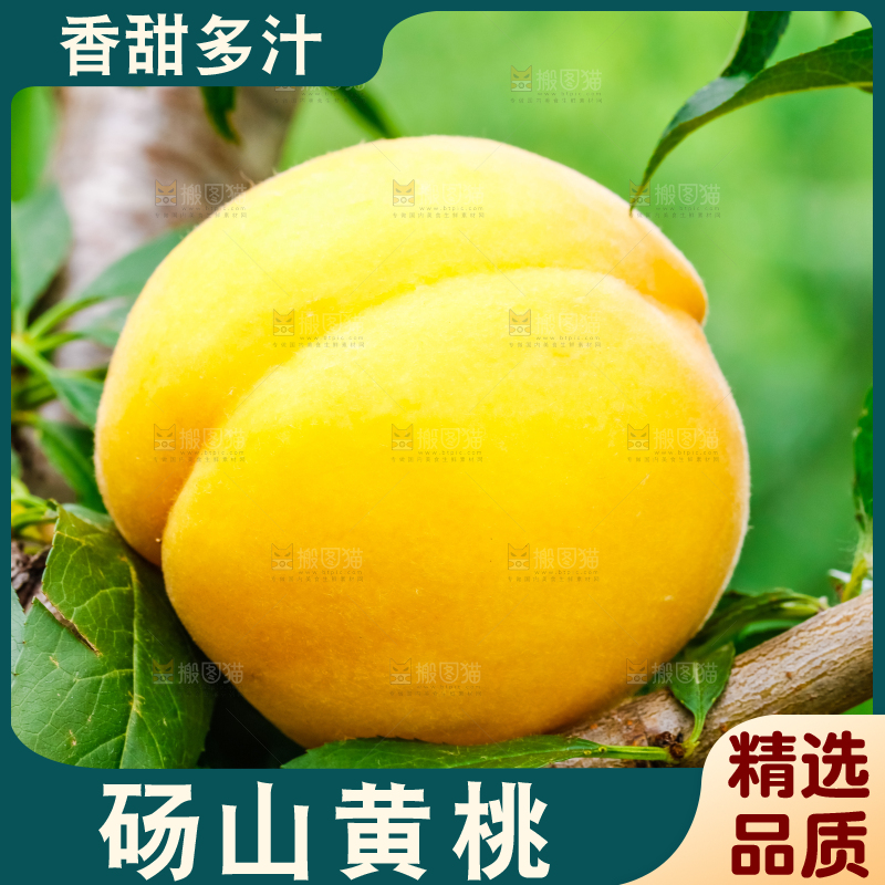 手里拿着砀山黄桃