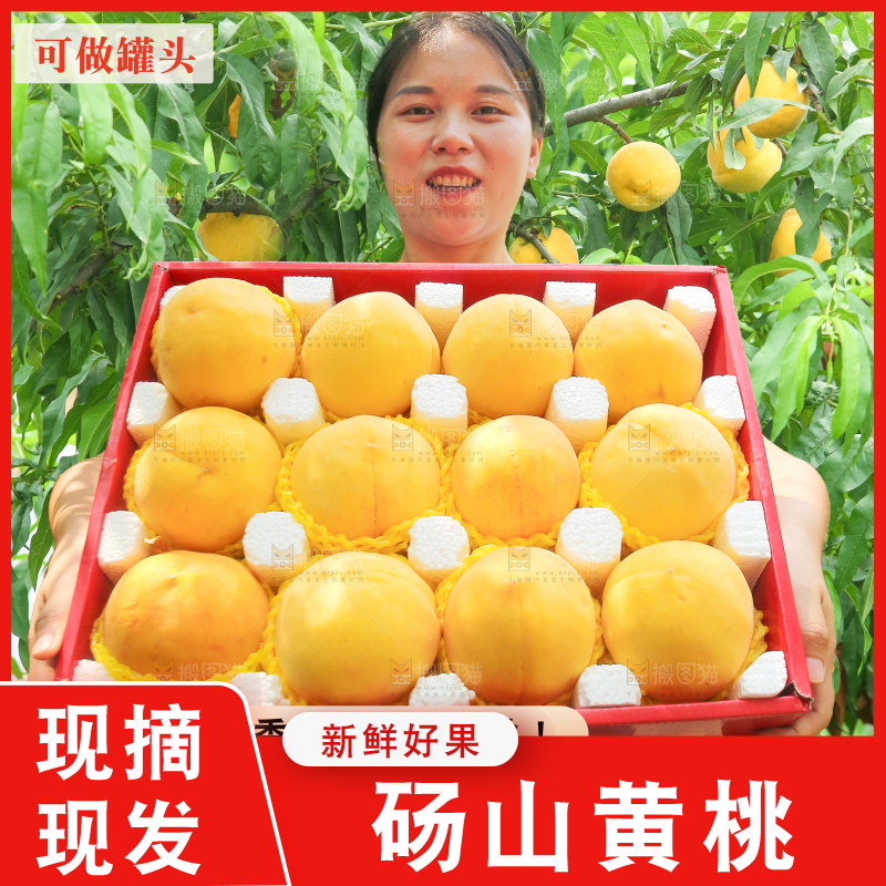 砀山黄桃主图