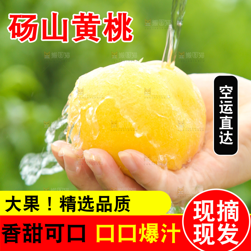 手里拿着黄毛桃