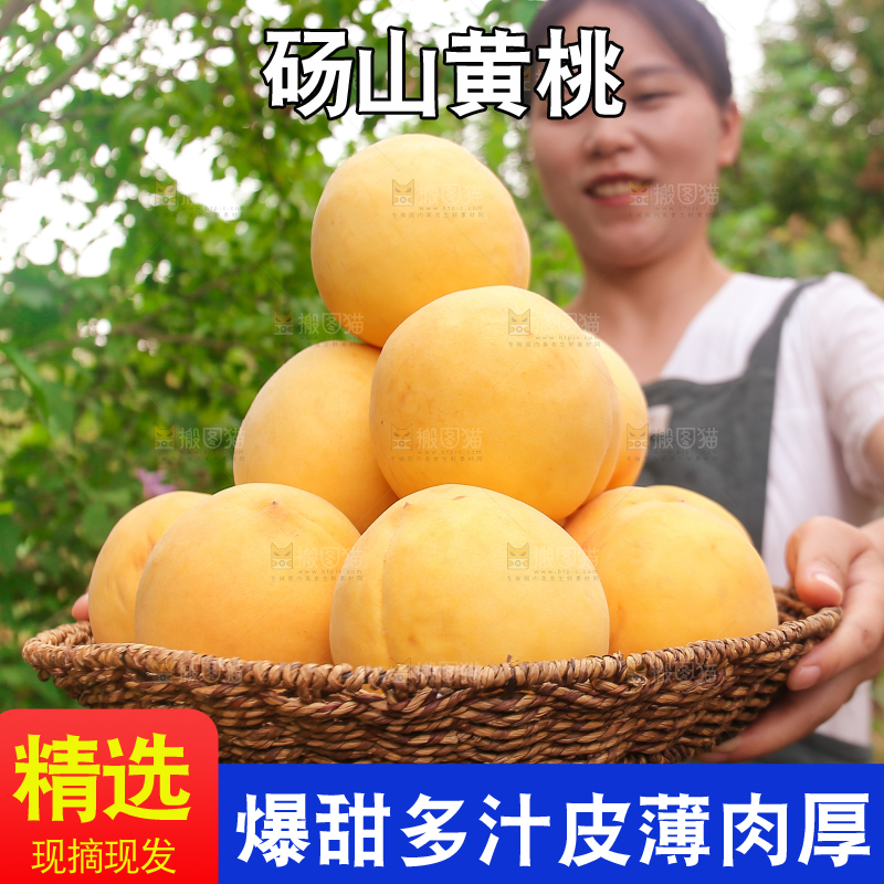 手里拿着黄毛桃