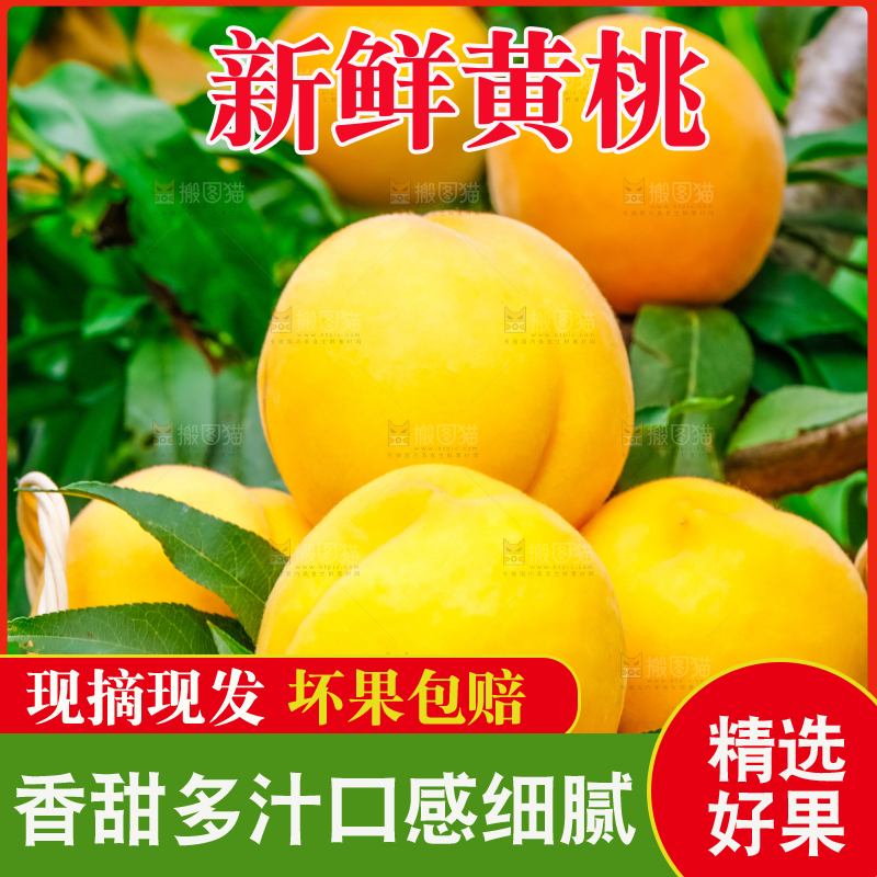 砀山黄桃主图