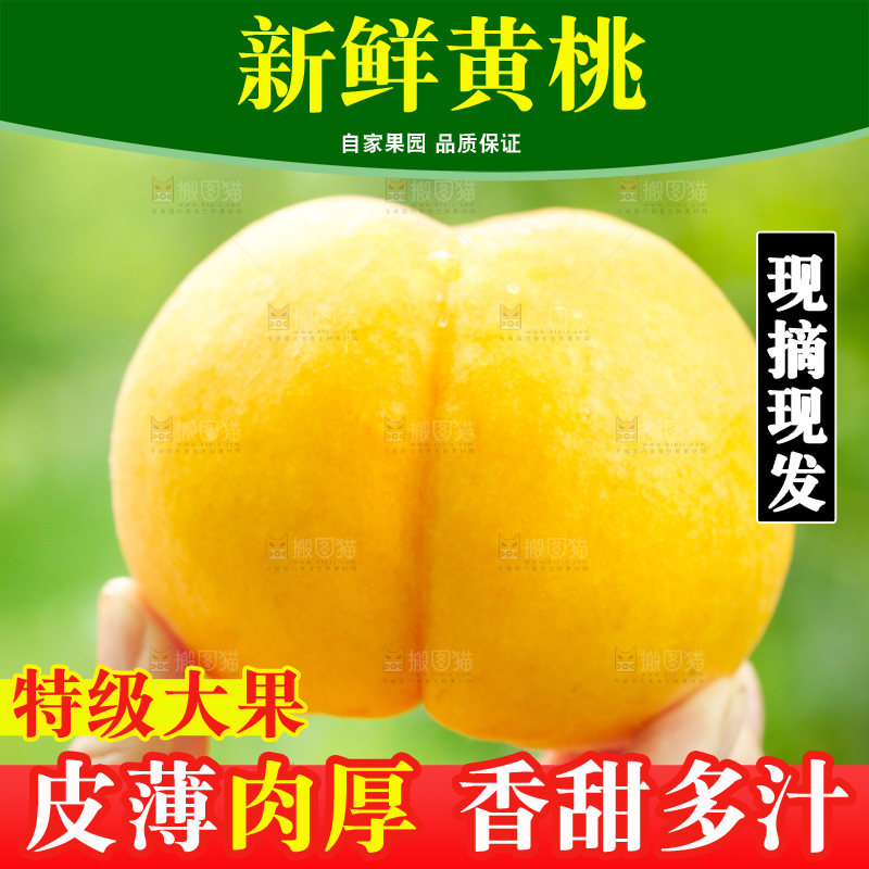 手里拿着黄毛桃