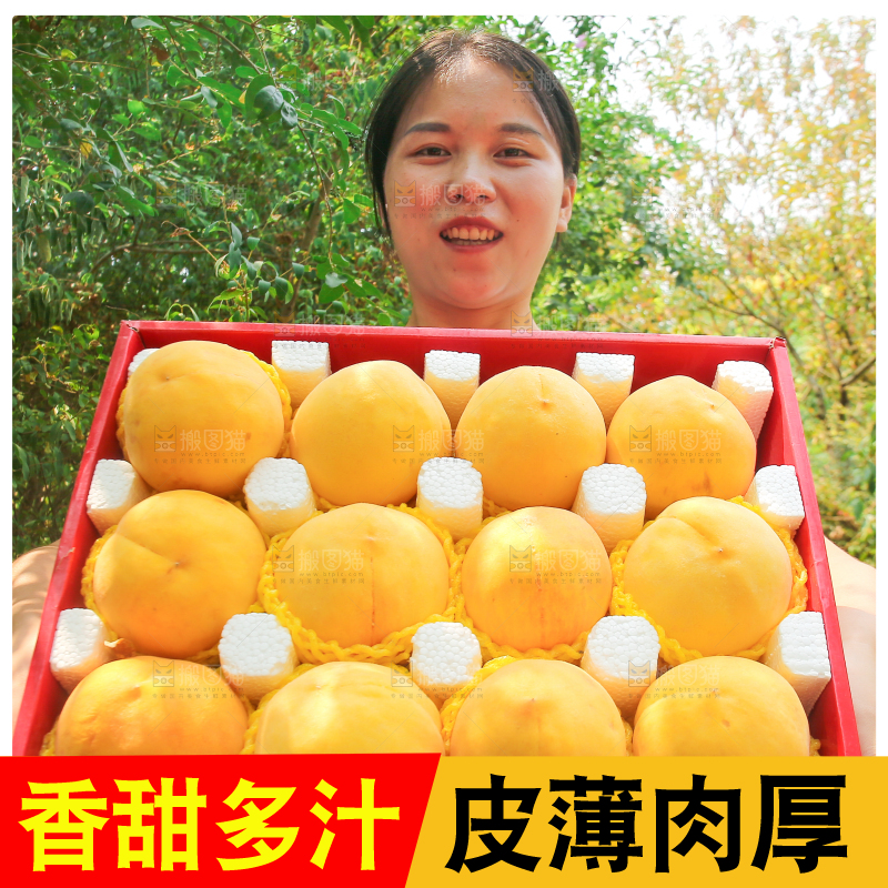手里拿着黄毛桃