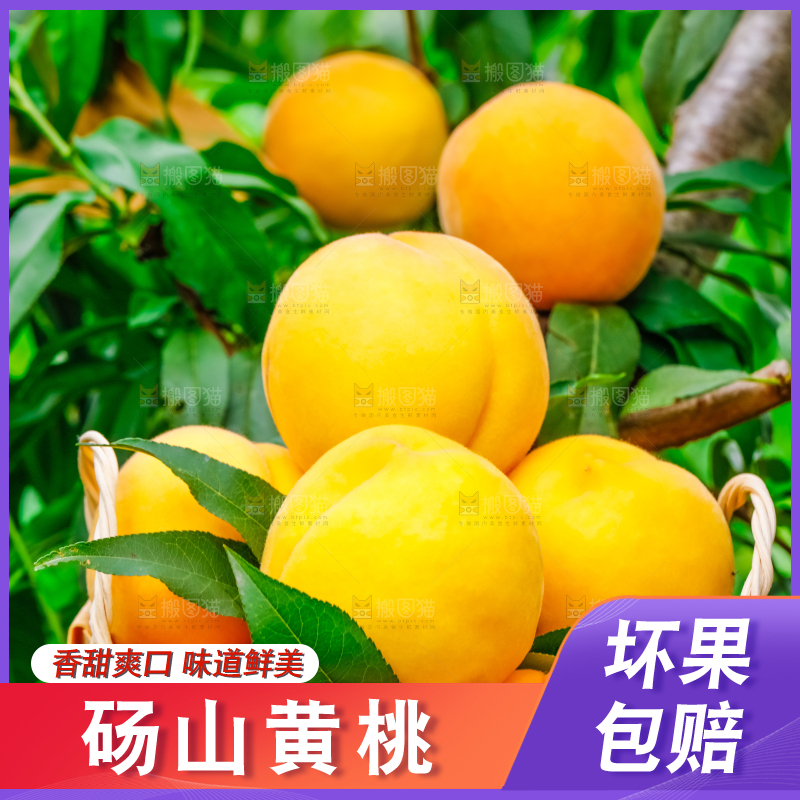 手里拿着砀山黄桃