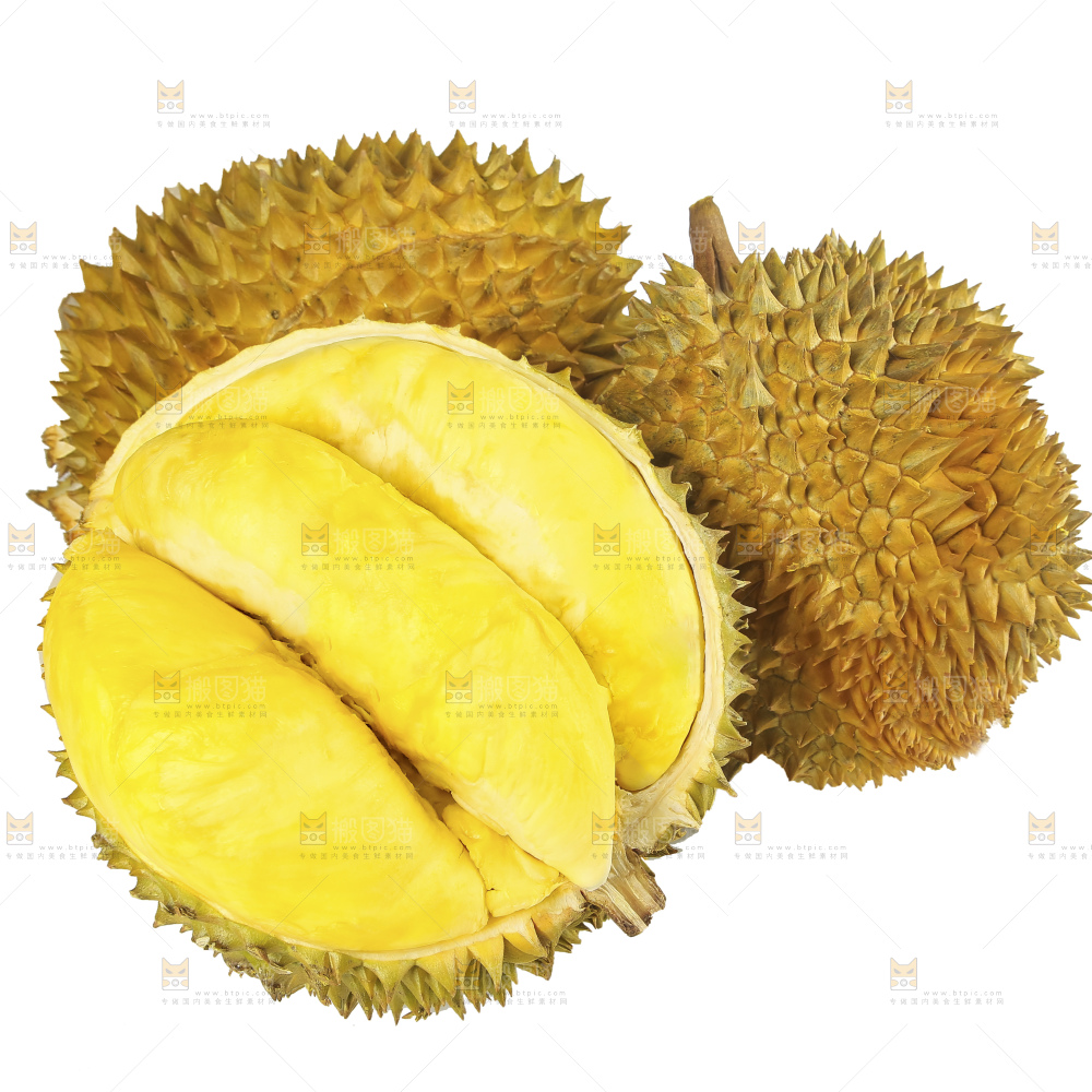 白底上的金枕榴莲