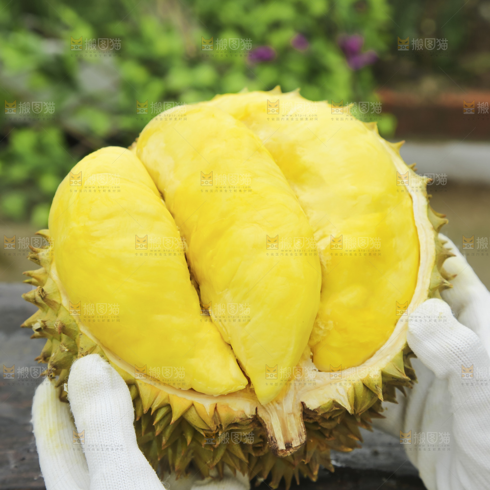 深底上的泰国榴莲