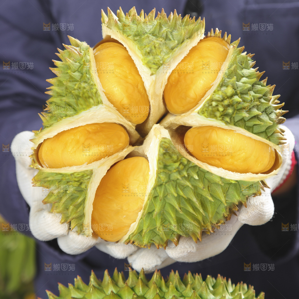 木底上的金枕榴莲