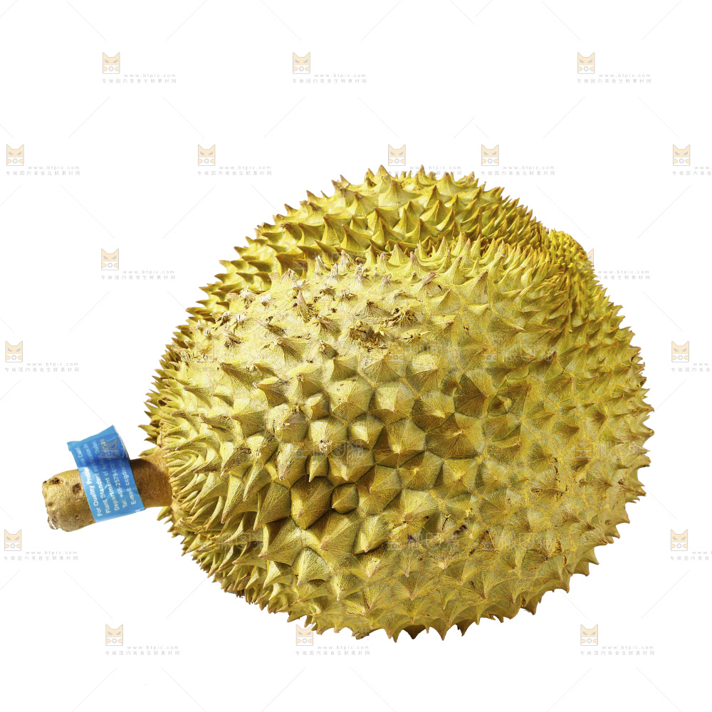 白底上的金枕榴莲