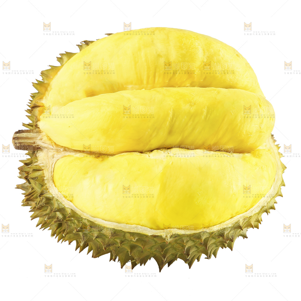 白底上的金枕榴莲