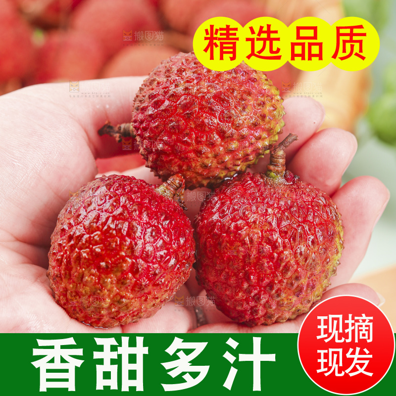 浅底上的桂味荔枝