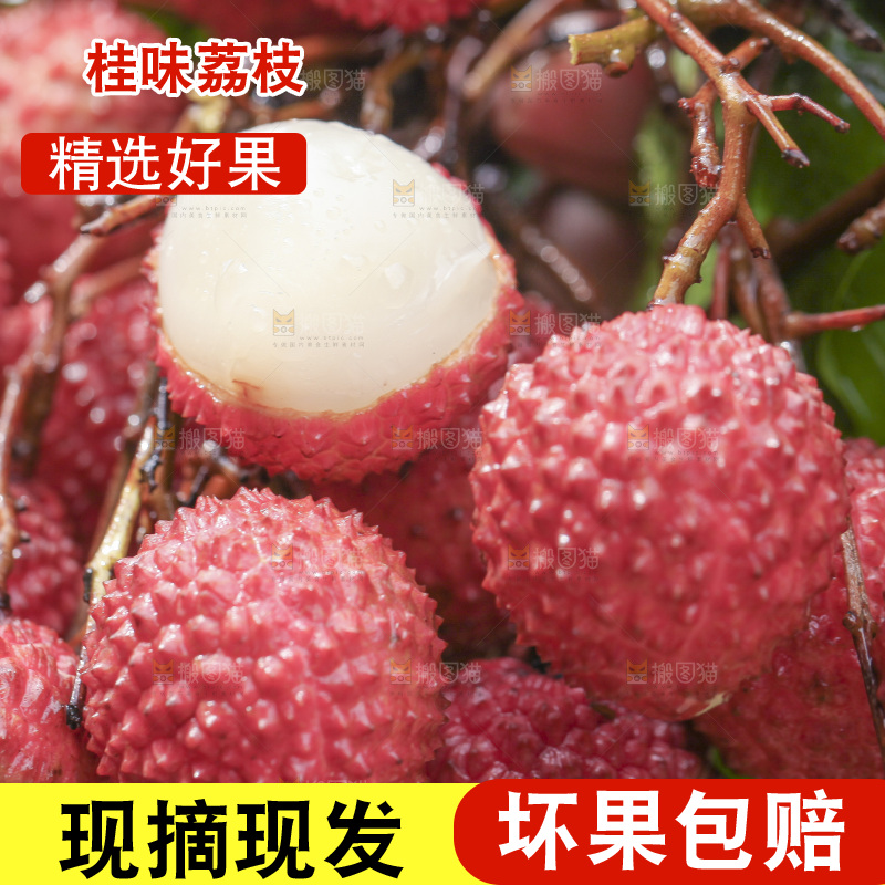 手里拿着一串桂味荔枝
